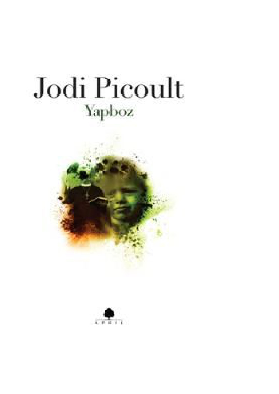 Yapboz PDF – Jodi Picoult
