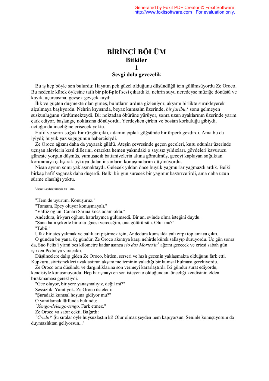 Jose Mauro De Vasconcelos Kayığım Rosinhaa Kitap Kapağı