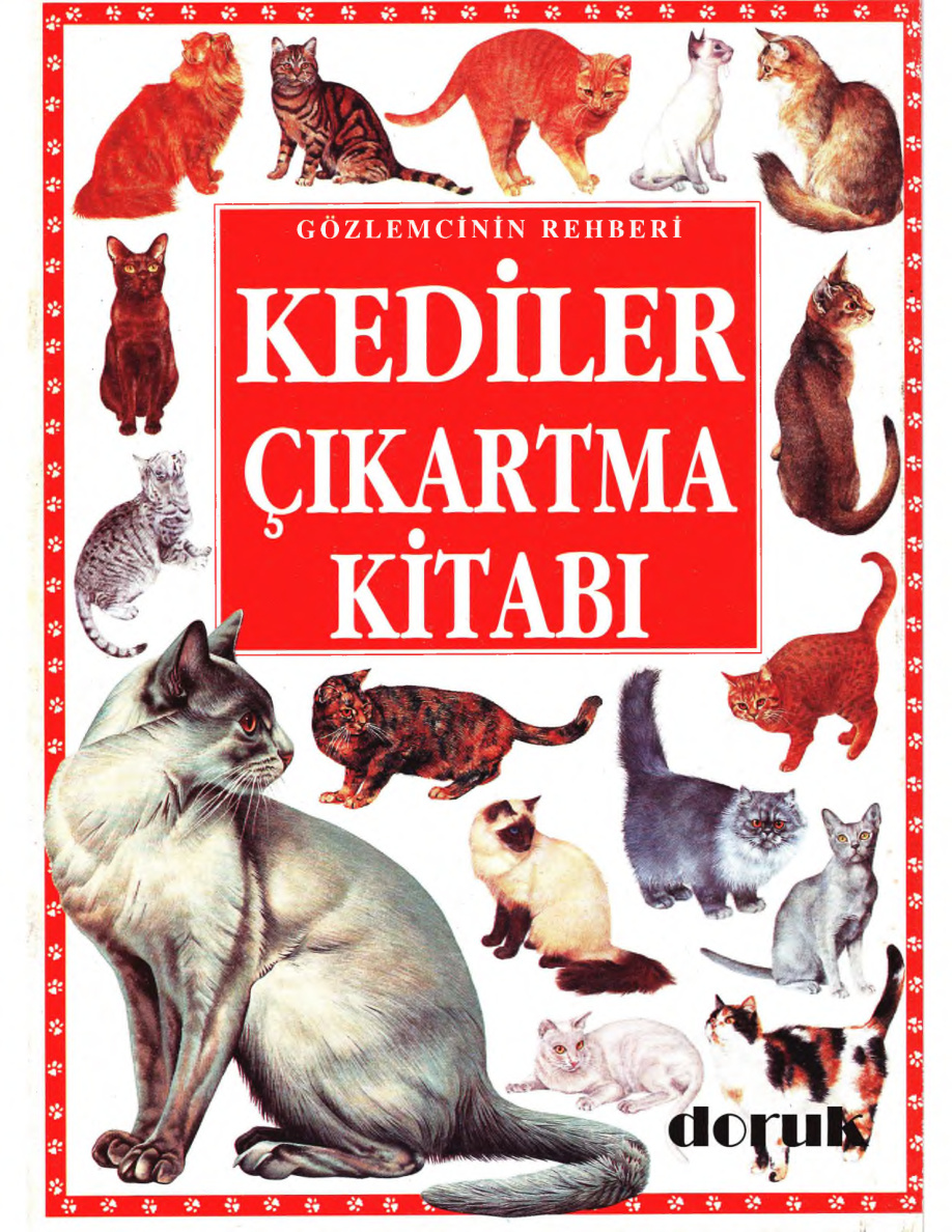 Kediler Çıkartma Kitabı PDF – Kolektif