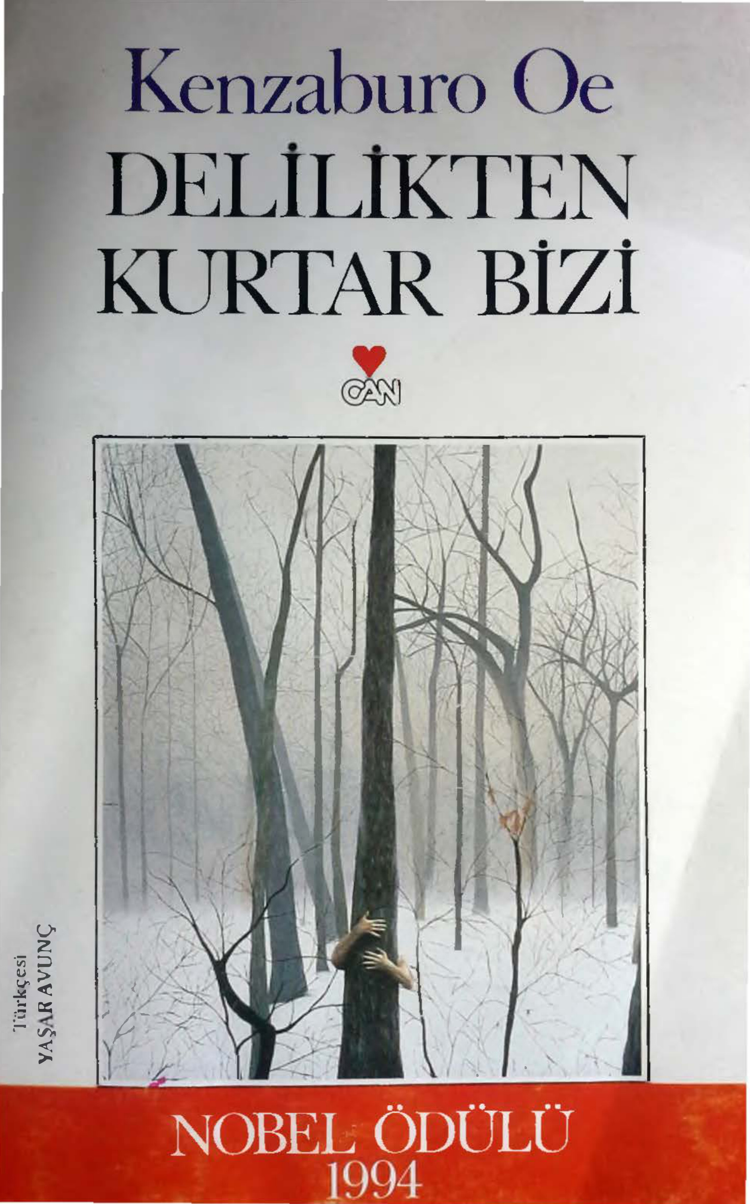 Delilikten Kurtar Bizi PDF – Kenzaburo Oe