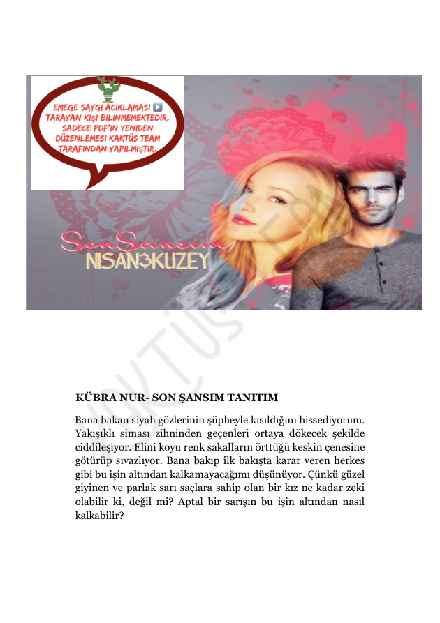 Sonsuz Düşler Serisi #2: Son Şansım PDF – Kübra Nur
