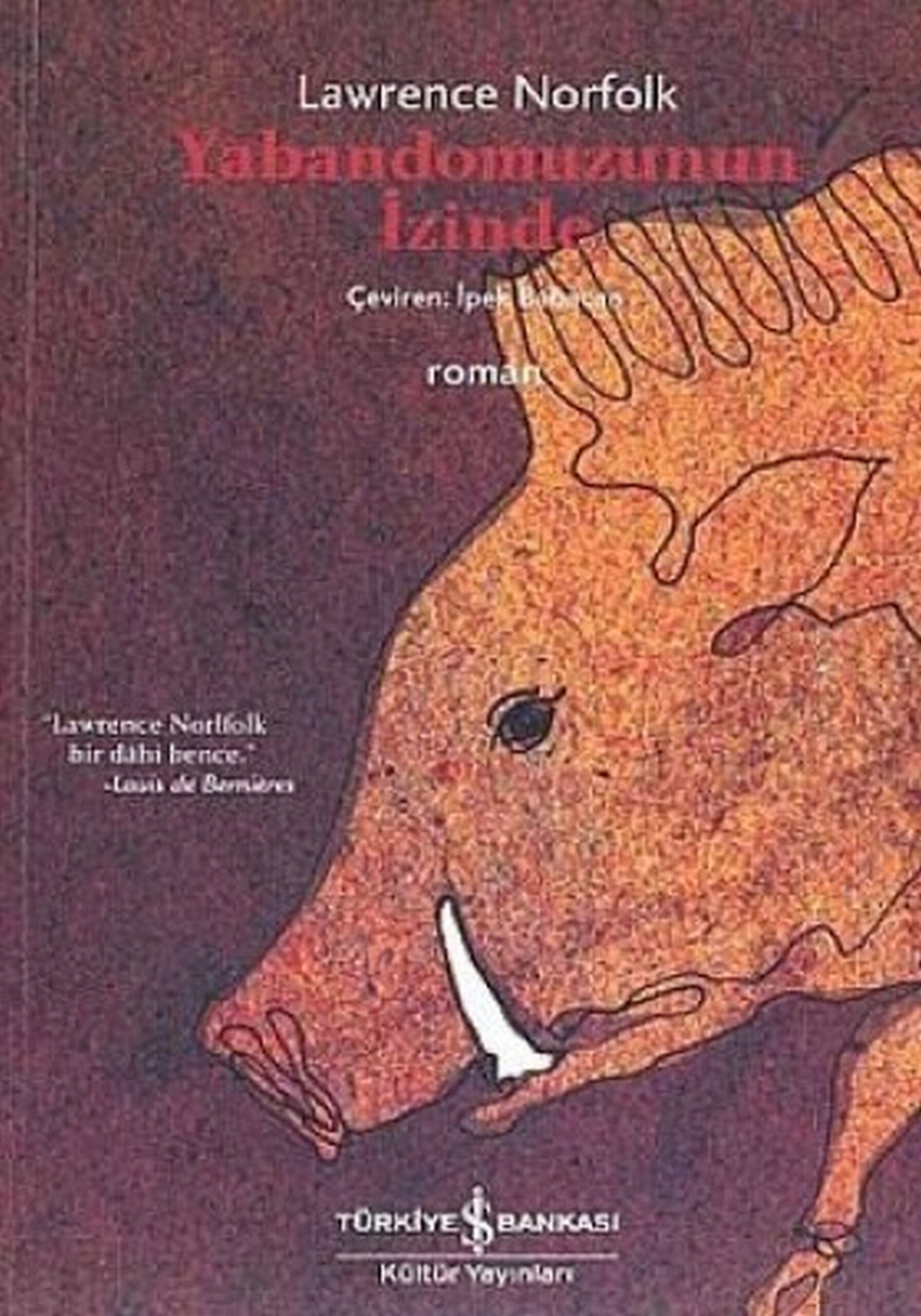 Lawrence Norfolk Yaban Domuzunun İzinde İş Bankası Yayınları Kitap Kapağı
