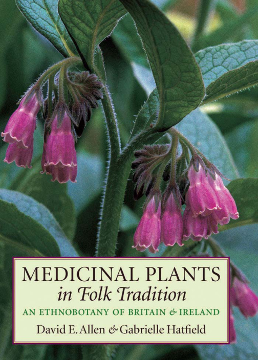 Medicinal Plants in Folk Tradition PDF – David E. Allen, Gabrielle Hatfield