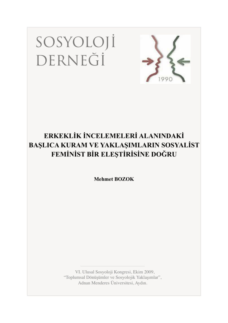 Mehmet Bozok Erkeklik İncelemeleri Eleştirisi Kitap Kapağı
