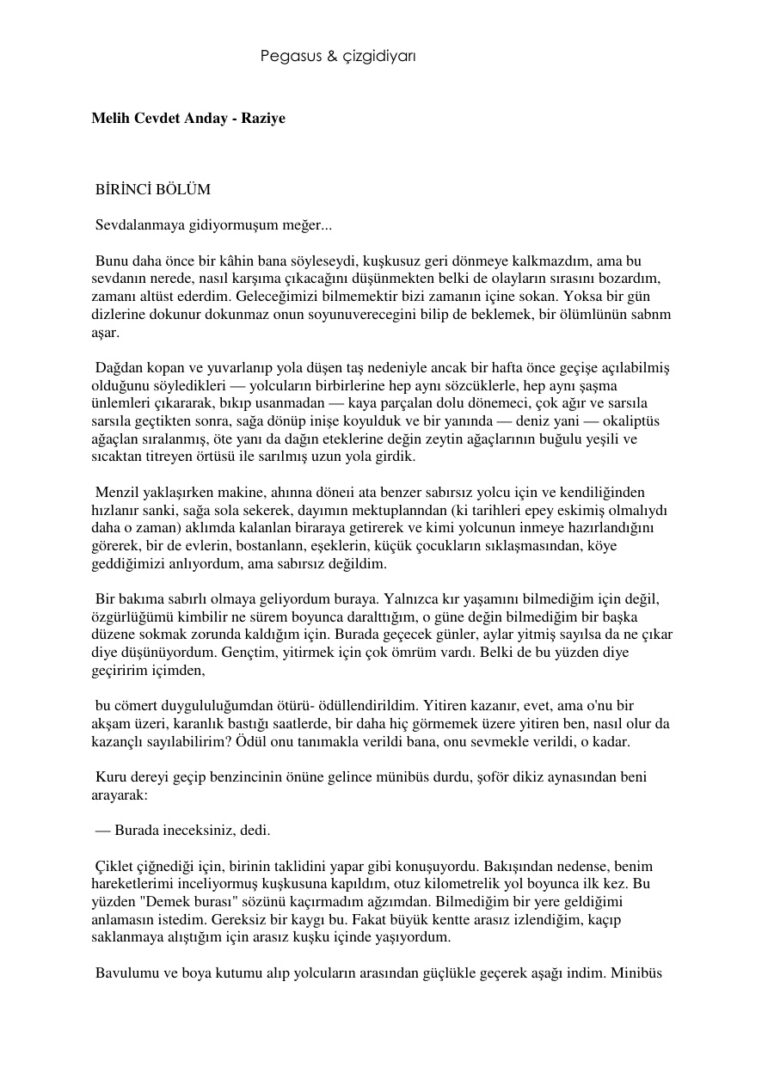 Melih Cevdet Anday Raziye Kitap Kapağı