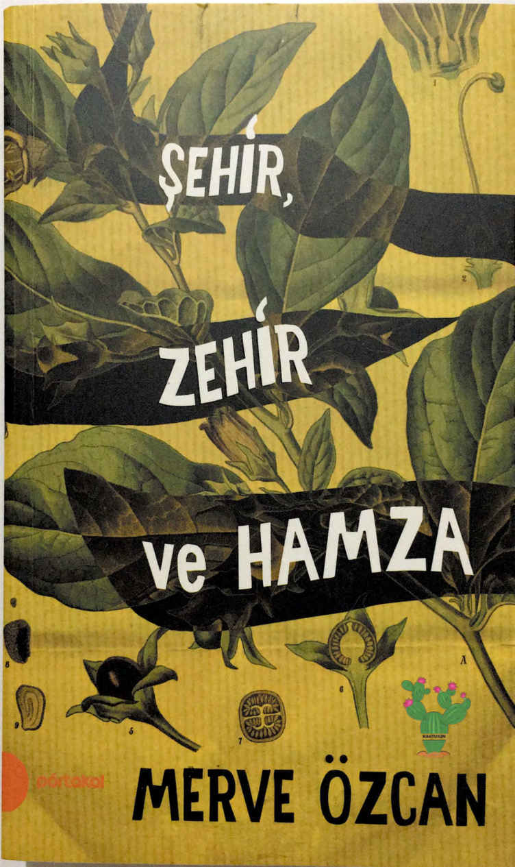 Şehir, Zehir ve Hamza PDF – Merve Özcan