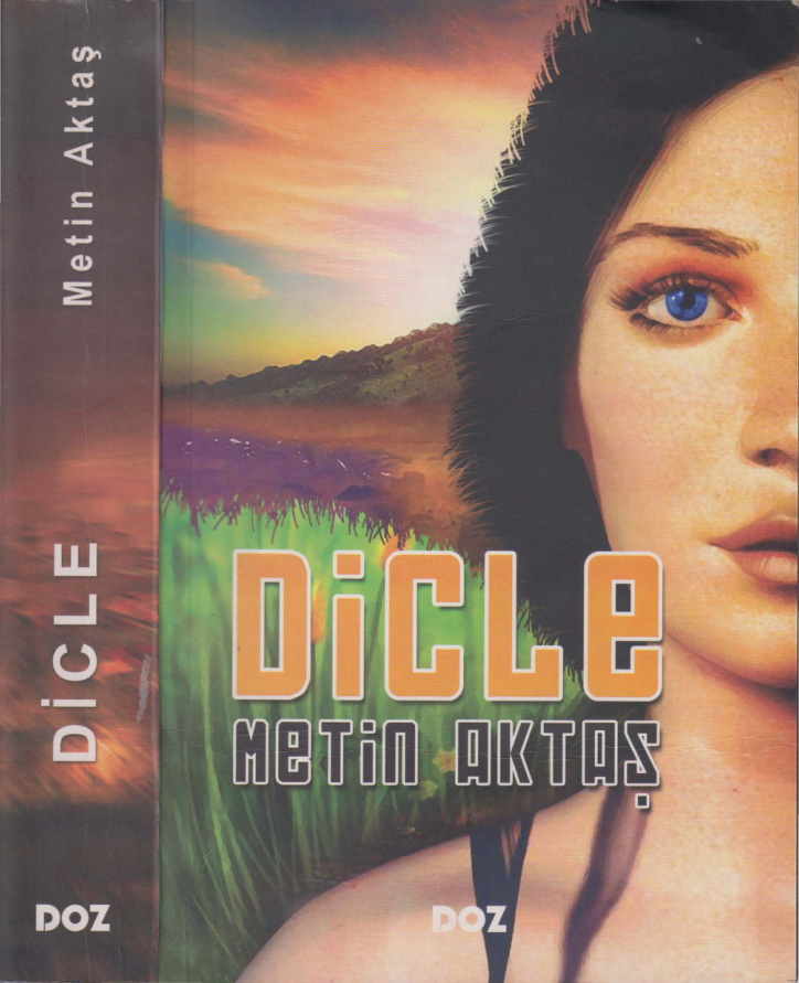 Metin Aktaş Dicle Doz Yayınları Kitap Kapağı