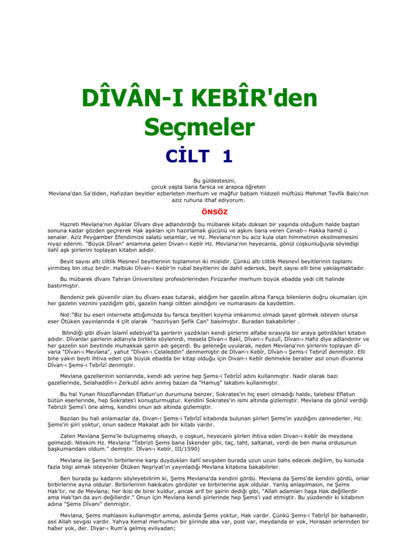 Mevlana Divani Kebirden Secmeler Cilt 1 Kitap Kapağı