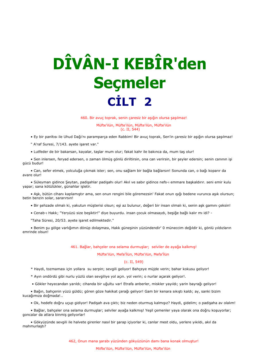 Divani Kebirden Secmeler Cilt 2 PDF – Mevlana Celaleddin Rumi