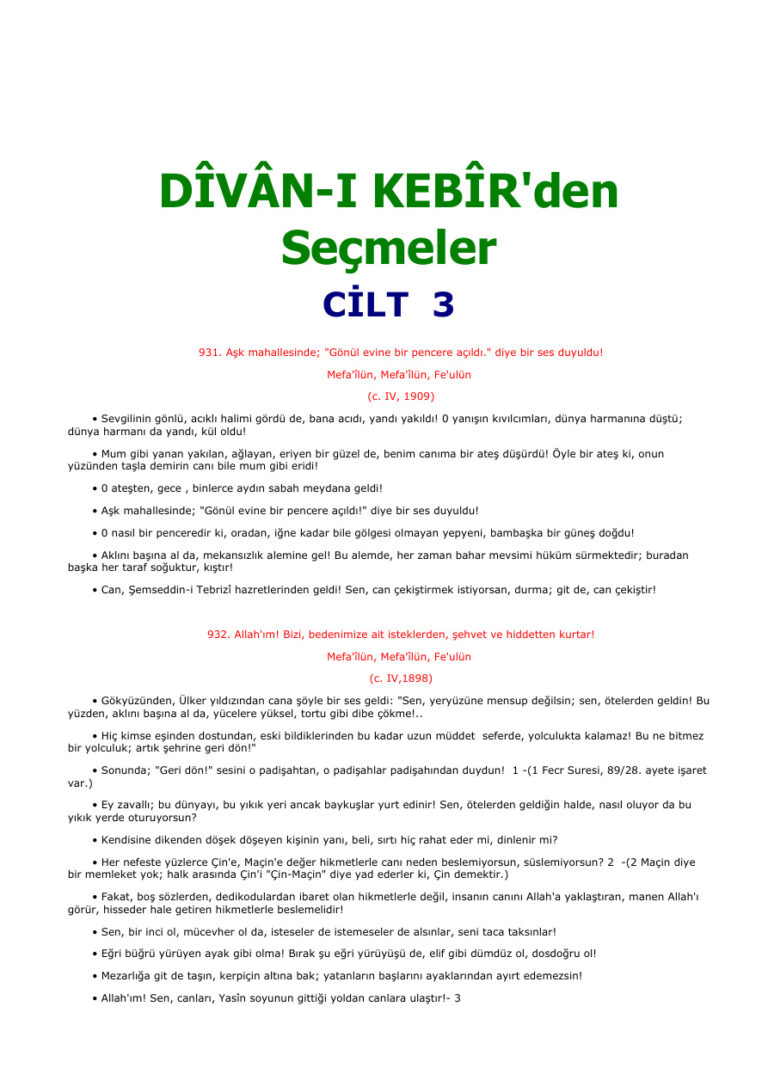 Mevlana Divani Kebirden Secmeler Cilt 3 Kitap Kapağı