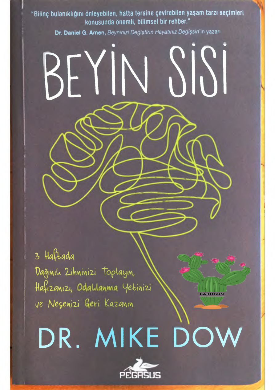 Beyaz Sisi PDF – Mike Dow