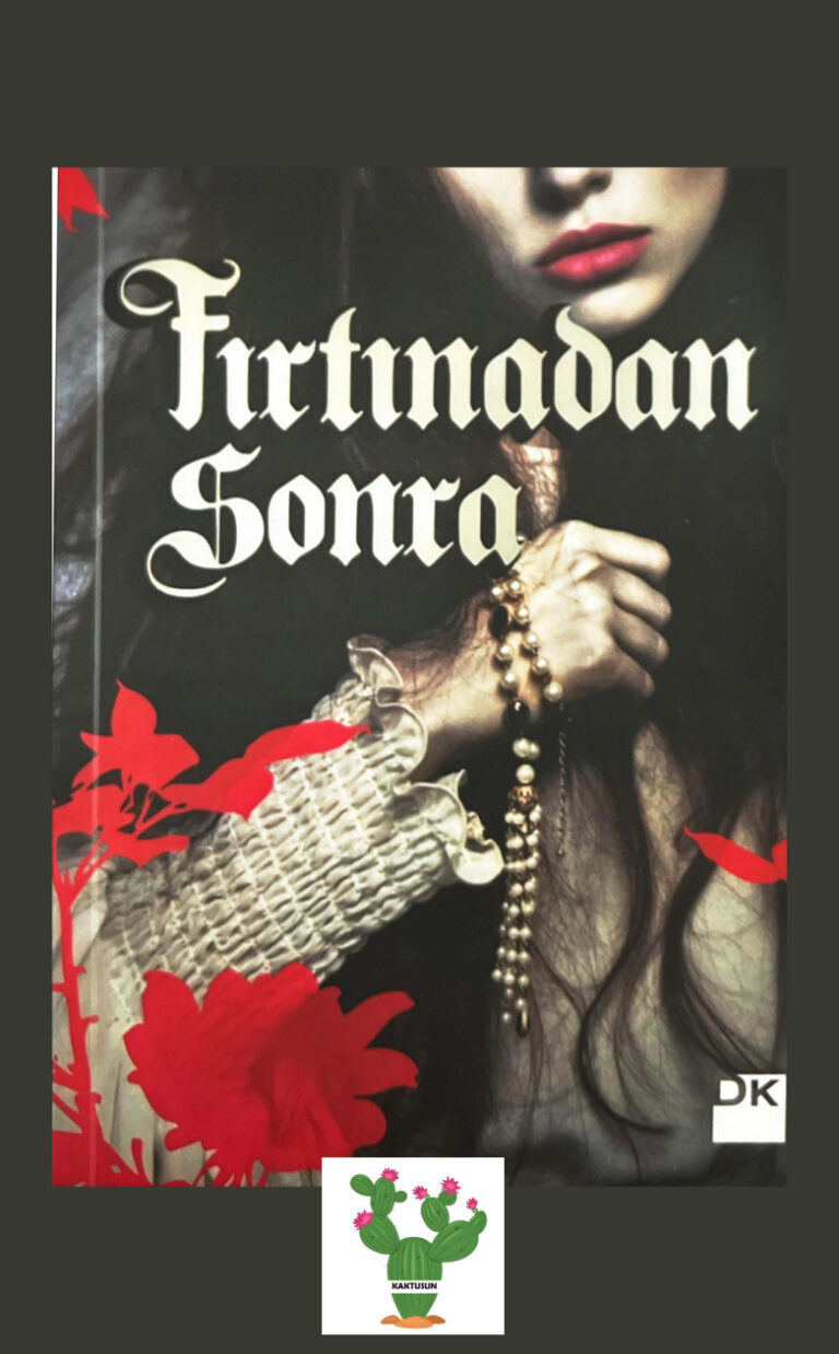 Mina Hepsen Fırtınadan Sonra Kitap Kapağı