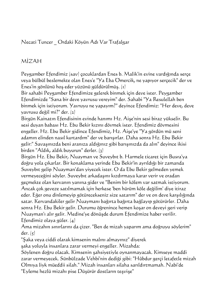 Ordaki Köyün Adı Var Trafalgar PDF – Necati Özütek