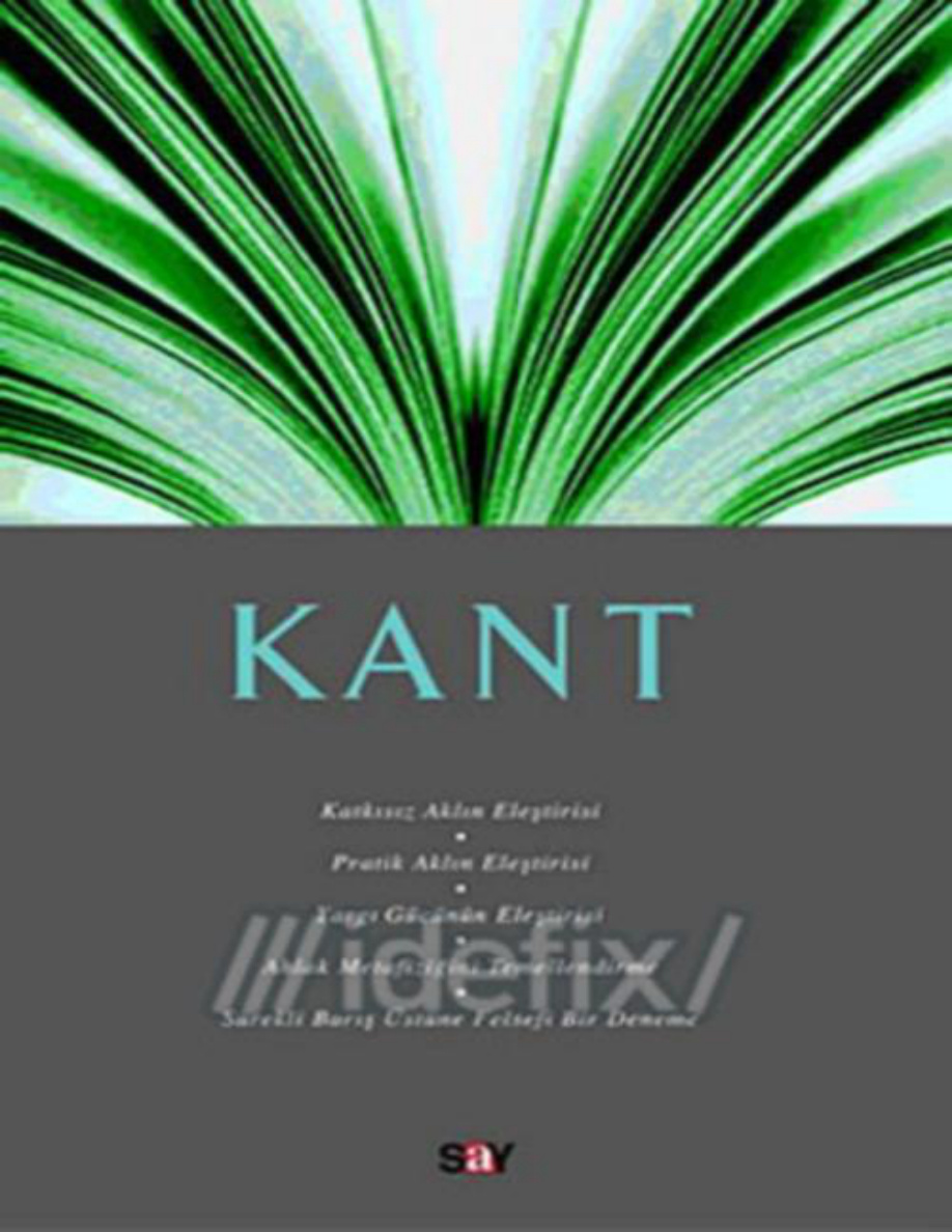 Fikir Mimarları 2-Kant PDF – Nejat Bozkurt
