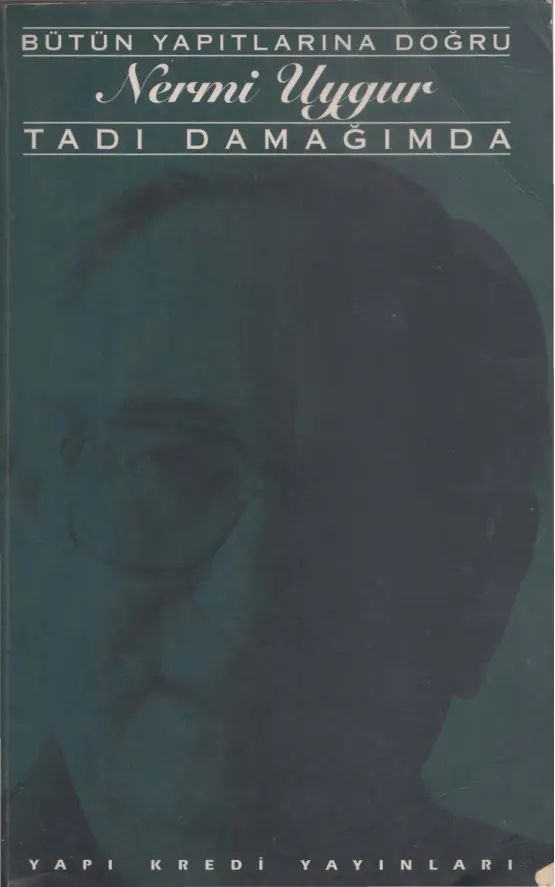 Nermi Uygur Tadı Damağımda YKY Kitap Kapağı