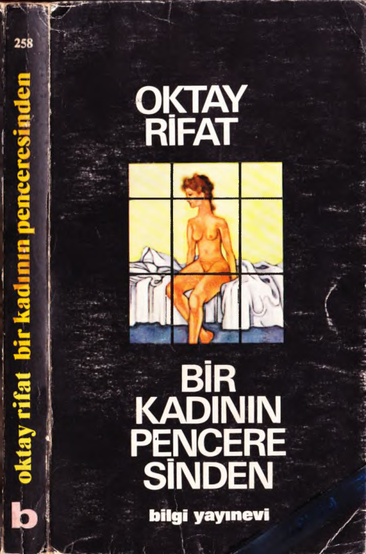 Bir Kadının Penceresinden PDF – Oktay Rifat