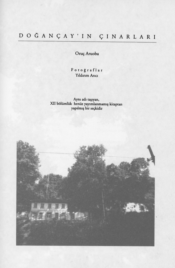 Doğançay’ın Çınarları PDF – Oruç Aruoba