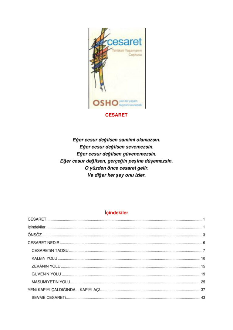 Osho Cesaret Kitap Kapağı