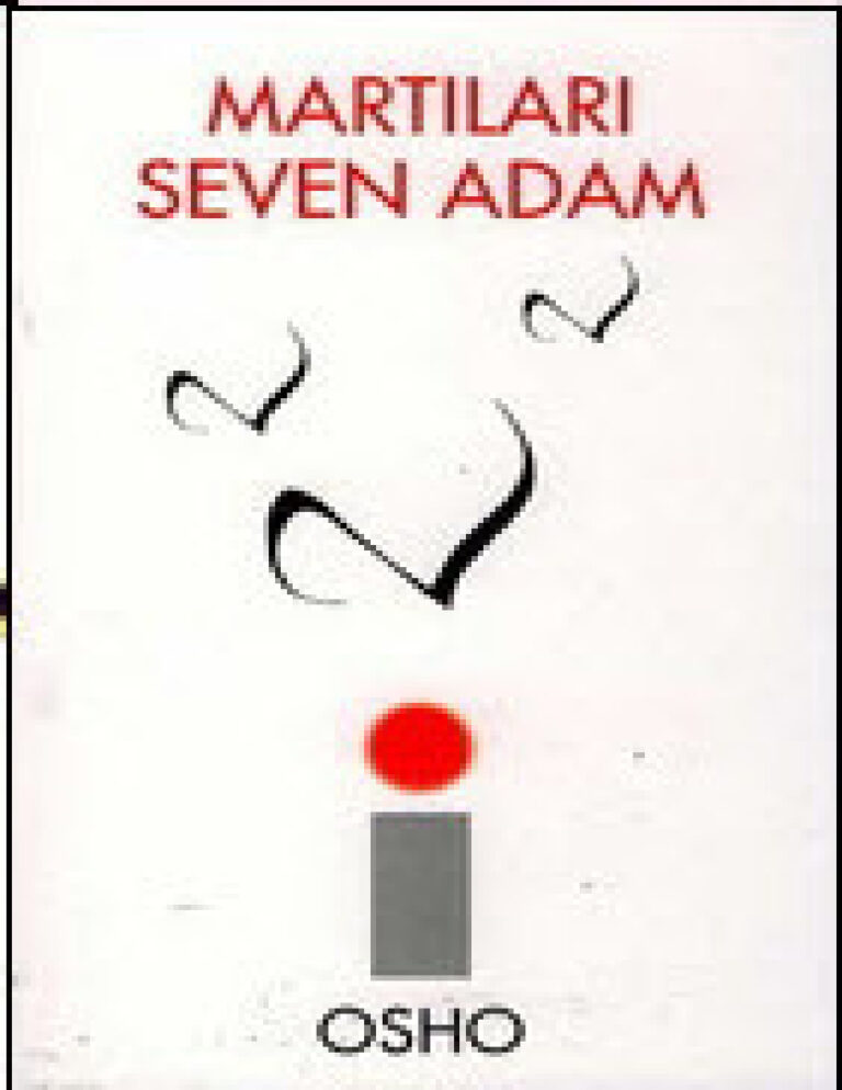 Osho Martıları Seven Adam Kitap Kapağı