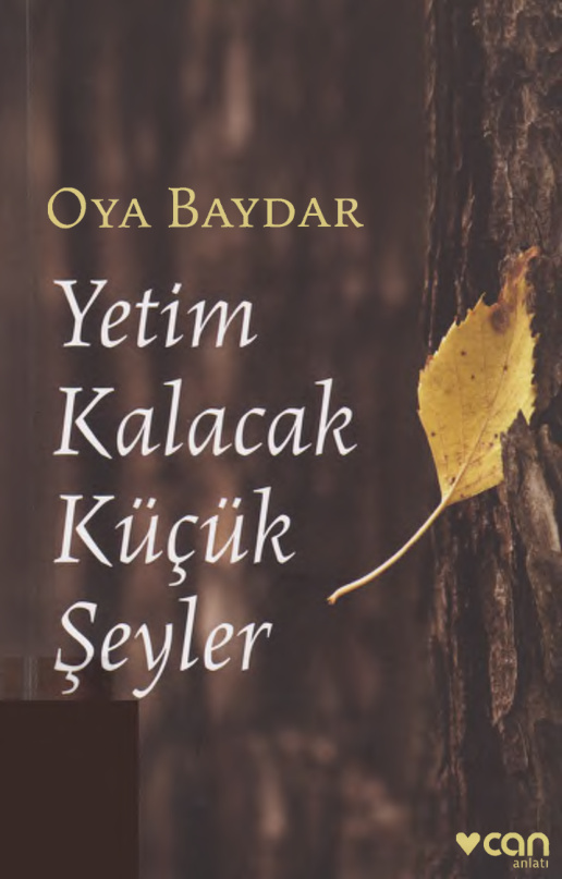 Yetim Kalacak Küçük Şeyler PDF – Oya Baydar
