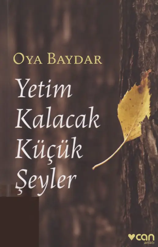 Oya Baydar Yetim Kalacak Küçük Şeyler Can Yayınları Kitap Kapağı