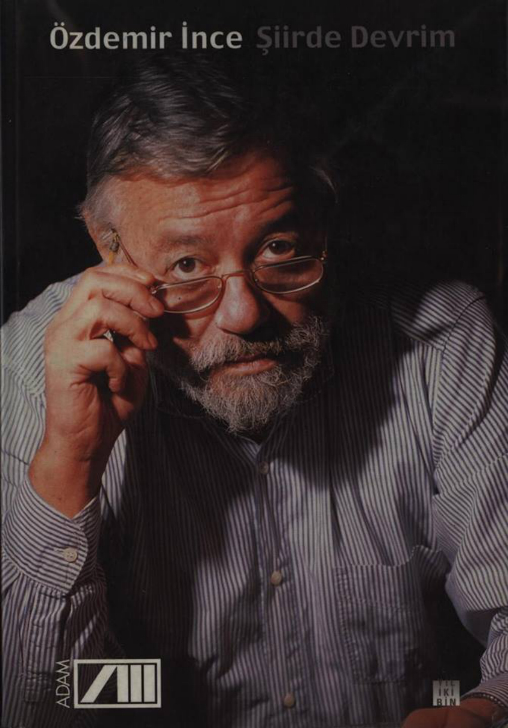 Şiirde Devrim PDF – Özdemir İnce