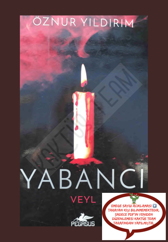 Yabancı #2 Veyl PDF – Öznur Yıldırım