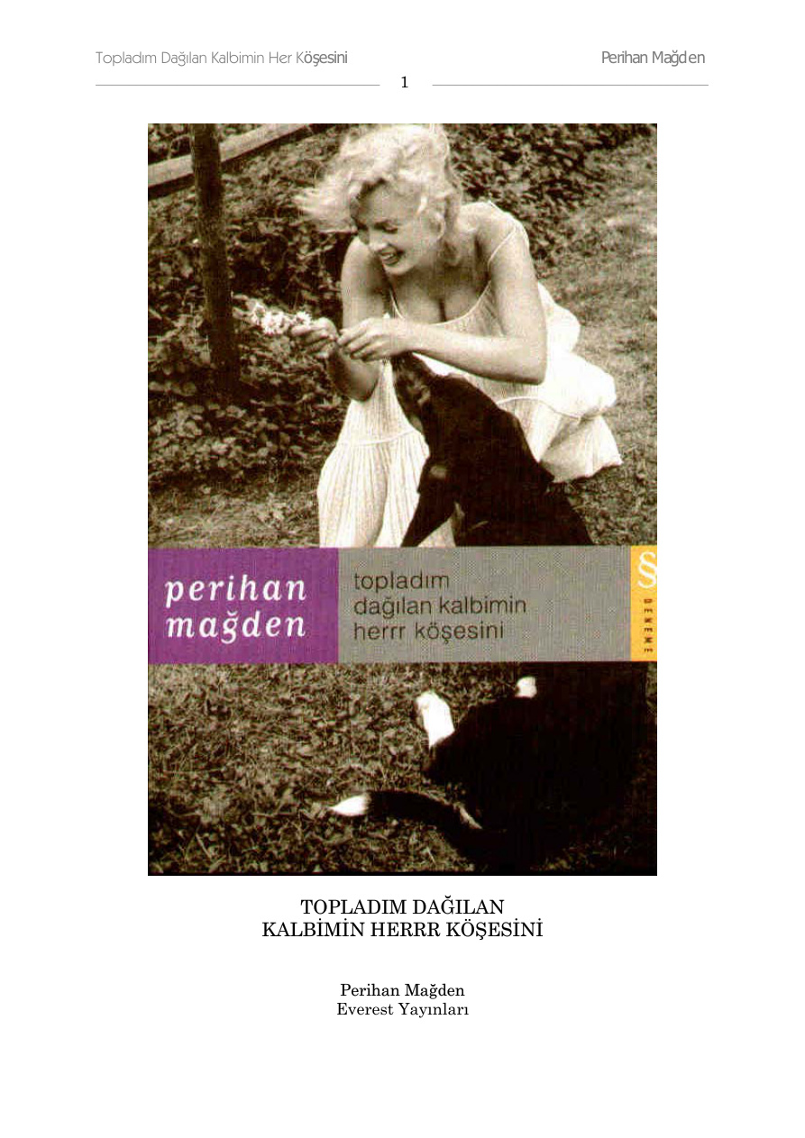 Topladim Dagilan Kalbimin Her Kosesini PDF – Perihan Mağden