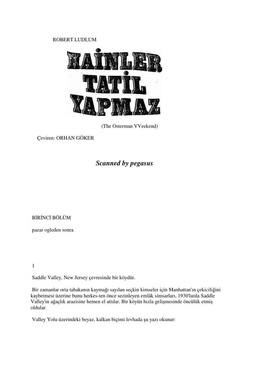 Hainler Tatil Yapmaz PDF – Robert Ludlum