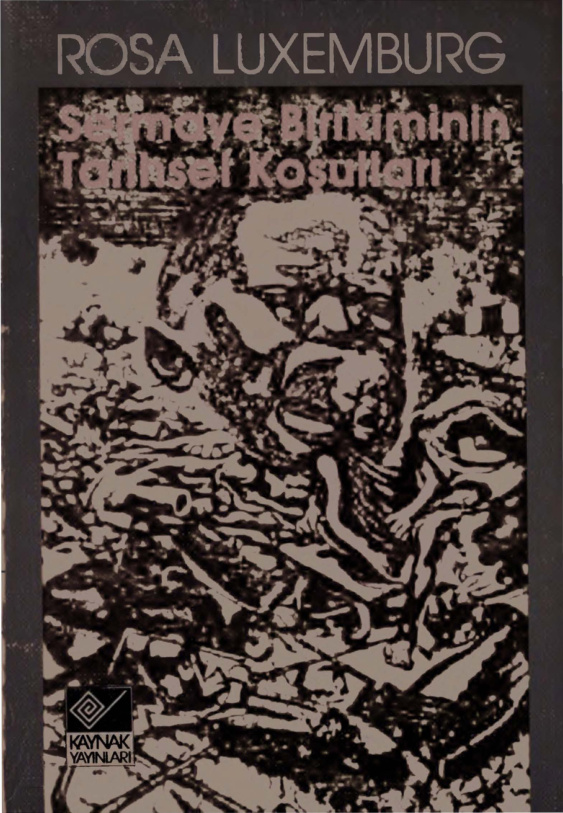Sermaye Birikiminin Tarihsel Koşulu PDF – Rosa Luxemburg