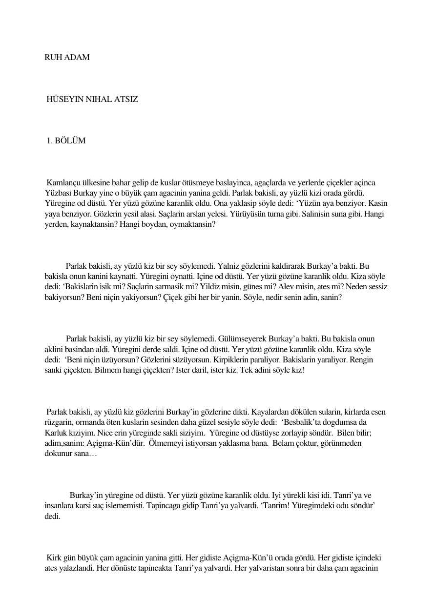 Ruh Adam PDF – Hüseyin Nihal Atsız
