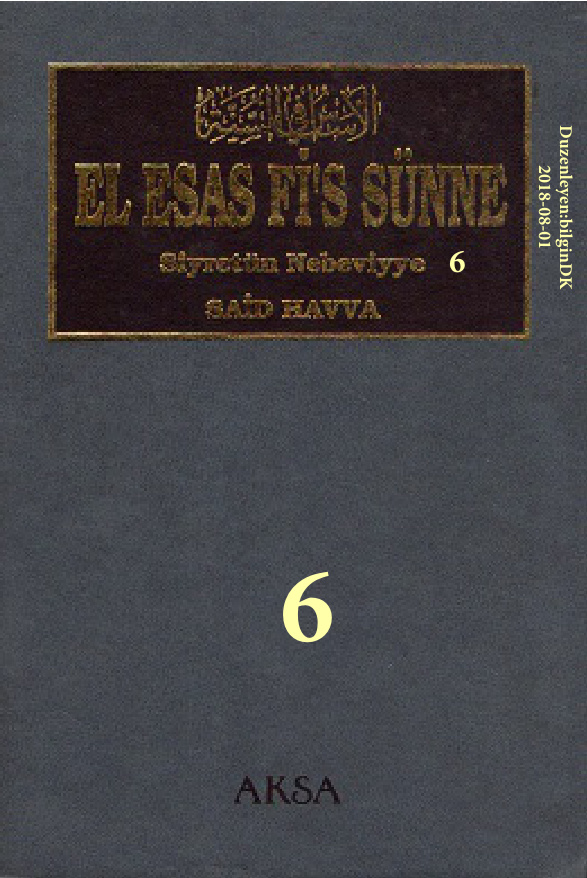 El Esas Fis Sunne.6_10 (Siyretun Nebeviyye.6_6) PDF – Said Havva