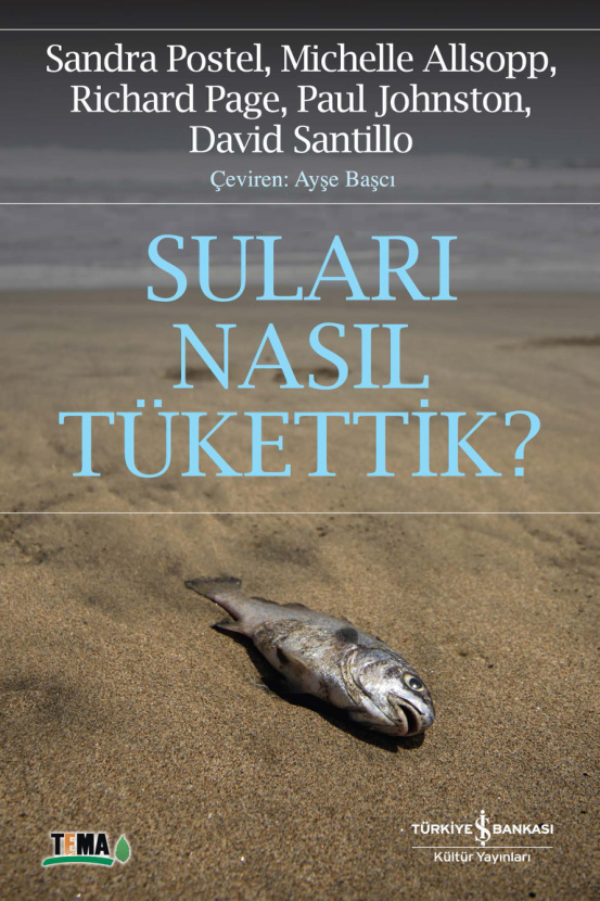 Suları Nasıl Tükettik PDF – Sandra Postel & Michelle Allsopp