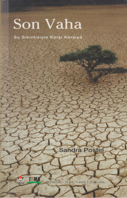 Son Vaha PDF – Sandra Postel