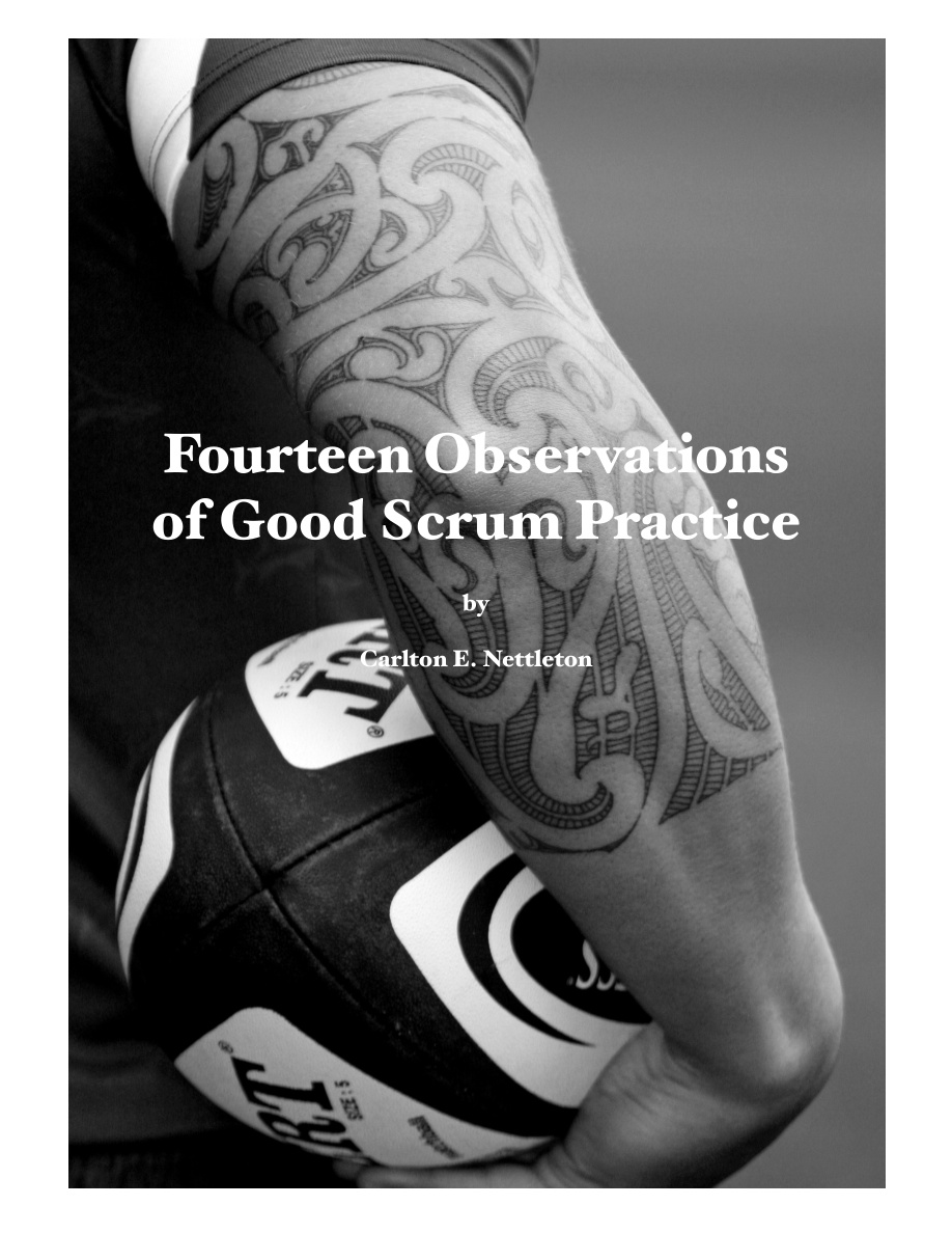 Scrum Observations PDF – Unknown