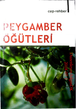 Peygamber Ogutleri PDF – Selim Aşkın
