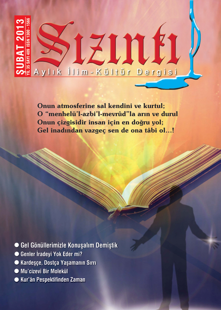 Sizinti – Subat 2013 PDF – Kolektif / Dergi