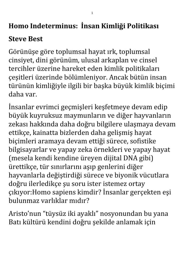 Steve Best Homo Indeterminus; İnsan Kimliği Politikası Kitap Kapağı