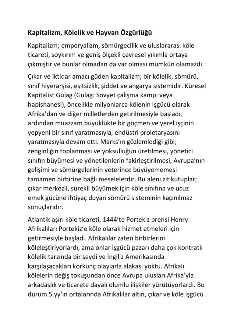 Steve Best Kapitalizm, Kölelik ve Hayvan Özgürlüğü Kitap Kapağı