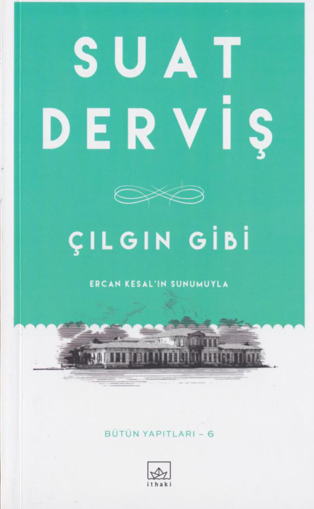Çılgın Gibi PDF – Suat Derviş