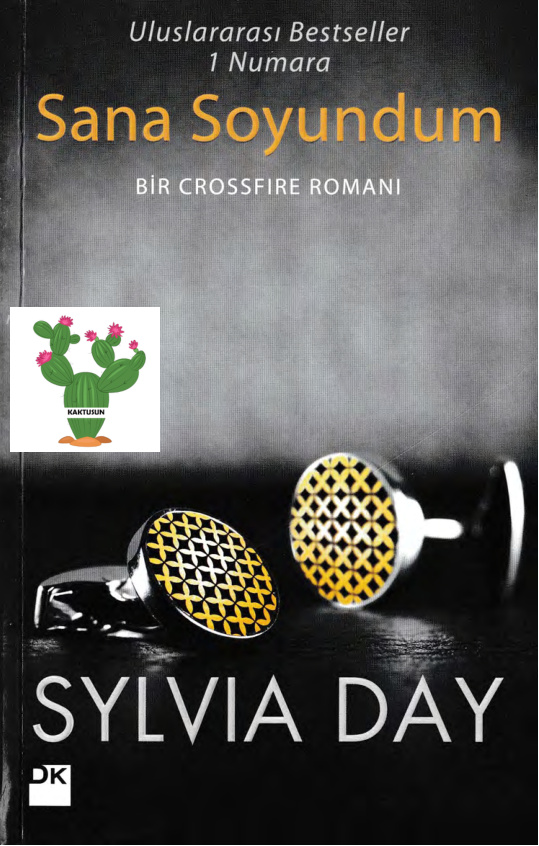 Sana Soyundum PDF – Sylvia Day