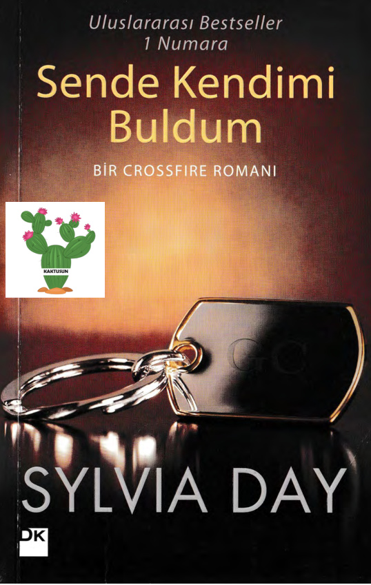 Sende Kendimi Buldum PDF – Sylvia Day