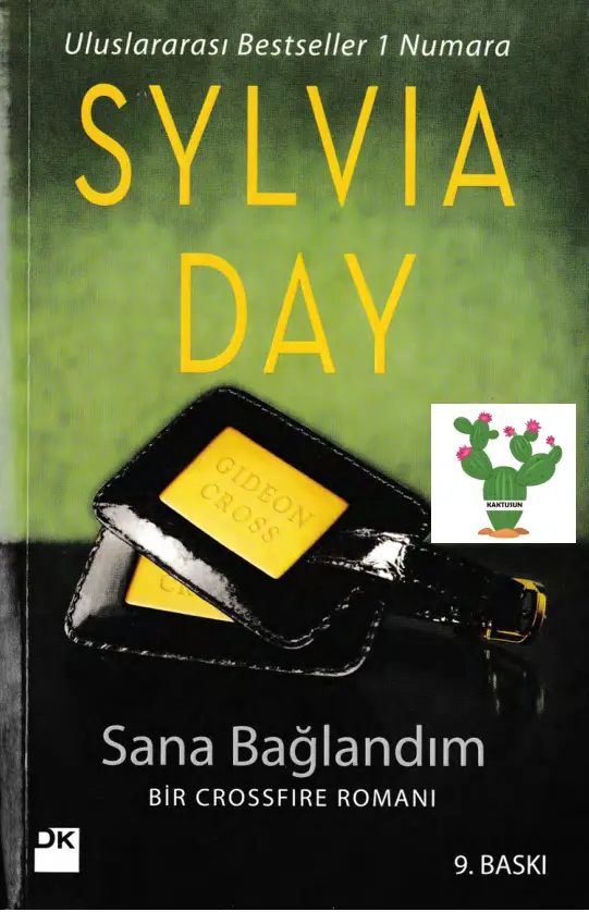 Sana Bağlandım PDF – Sylvia Day