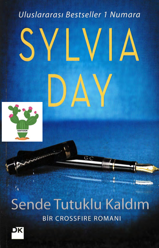 Sende Tutuklu Kaldım PDF – Sylvia Day