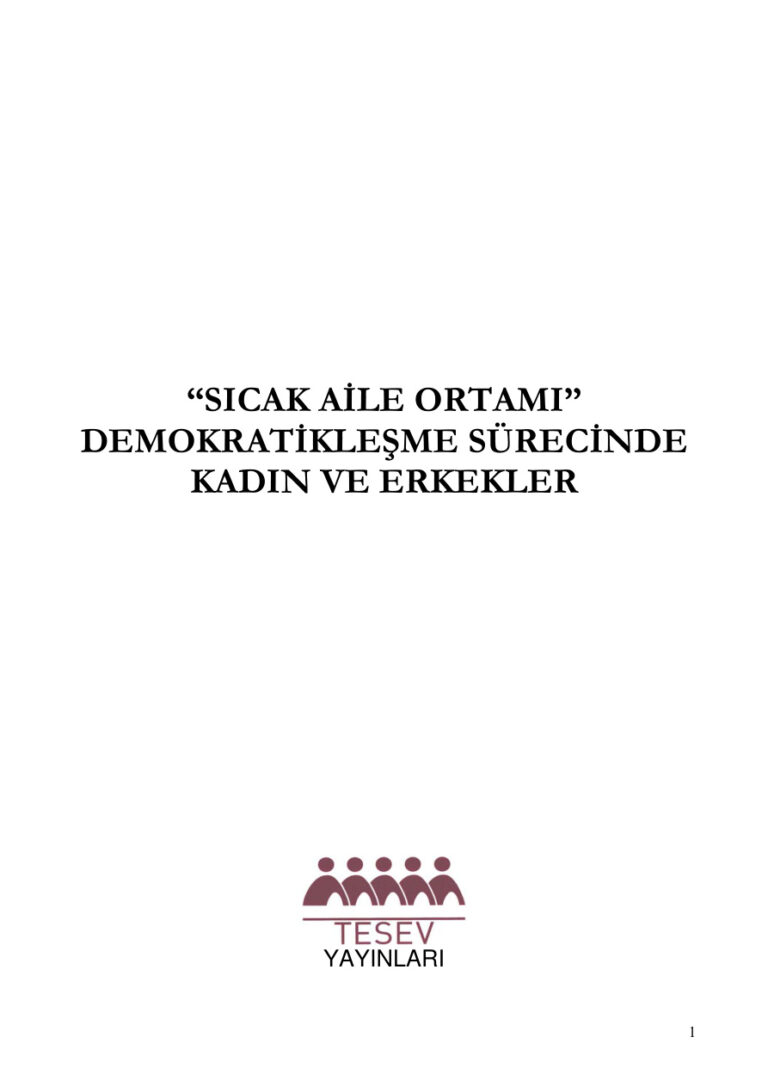 TESEV Sicak Aile Ortami Kitap Kapağı
