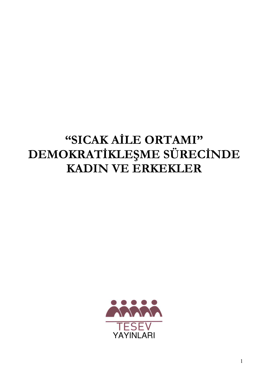 Sicak Aile Ortami PDF – Kolektif / TESEV