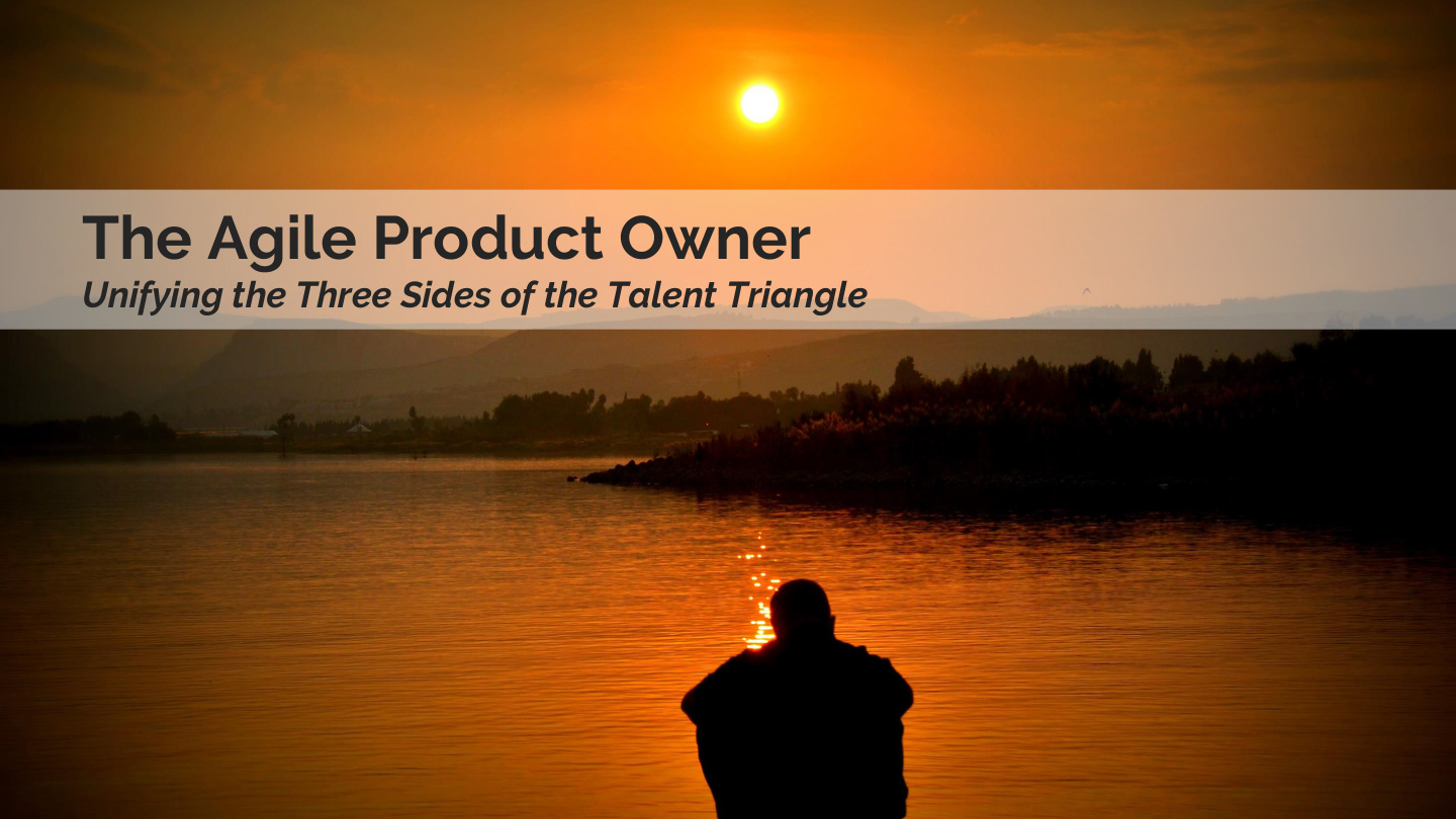 The Agile Product Owner PDF – Unknown