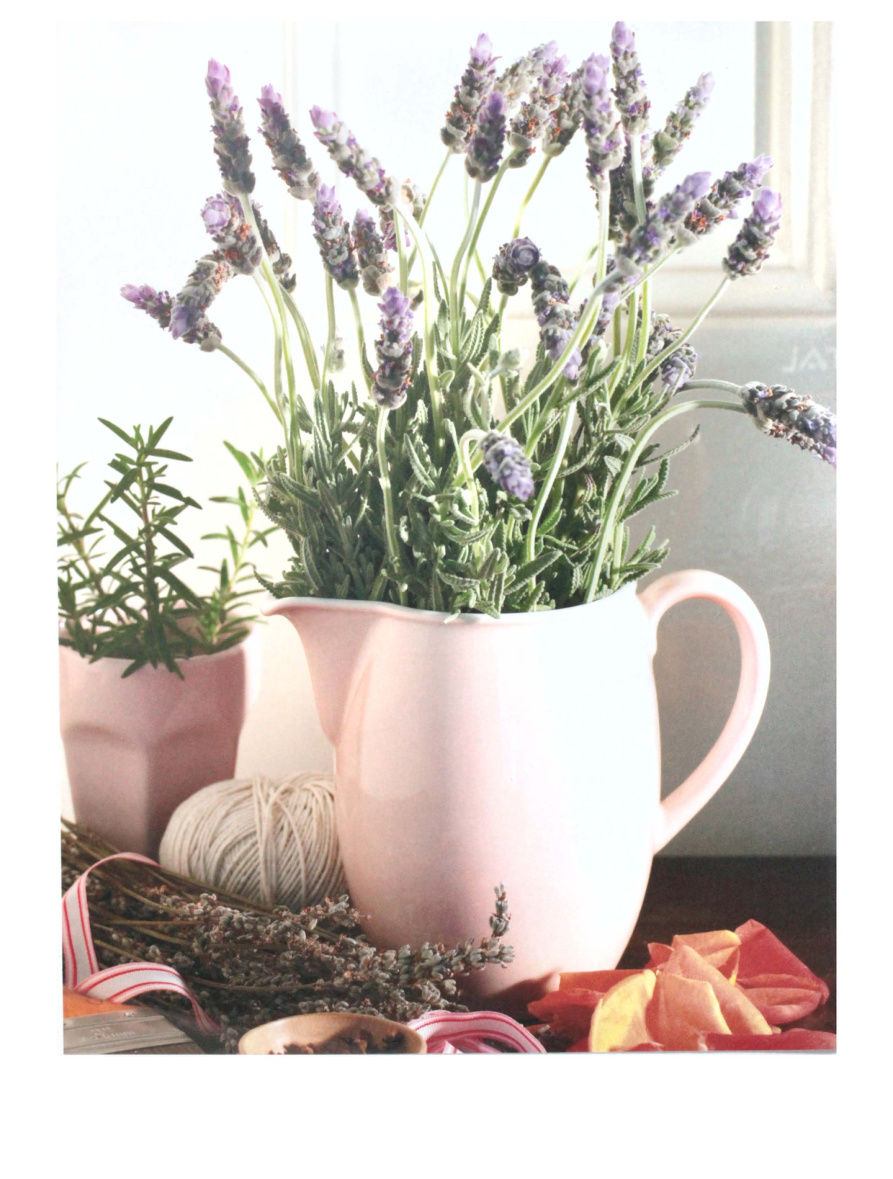 The Complete Illustrated Book of Herbs PDF – Sarah Baker