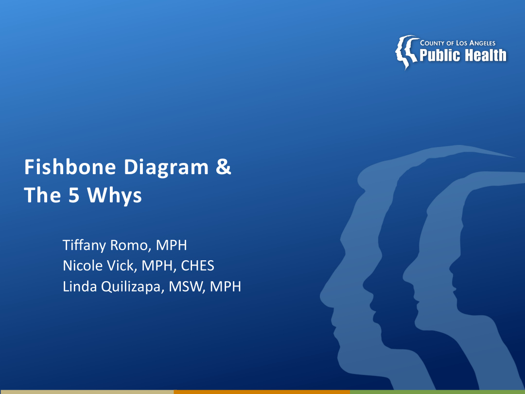Fishbone Diagram Analysis PDF – Unknown / Topic 3