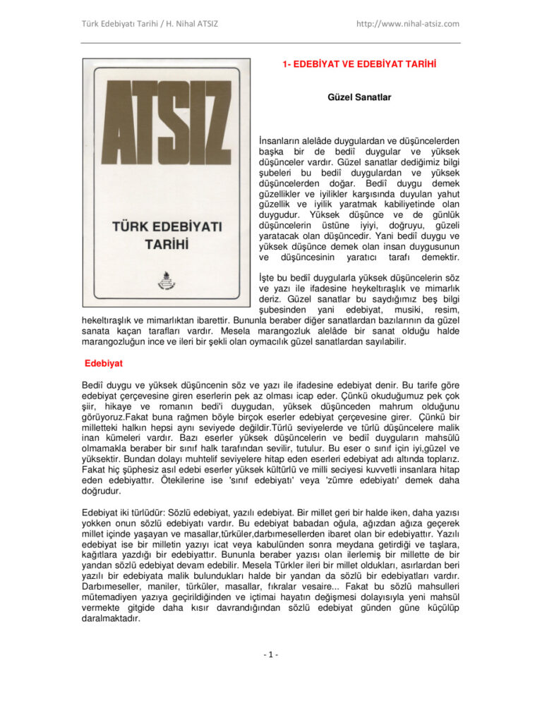 Türk Edebiyatı Tarihi Kitap Kapağı